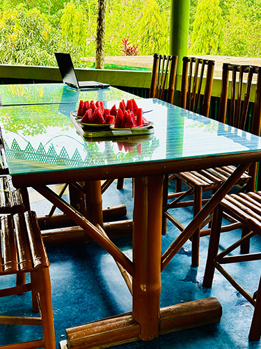 Jaldapara Rhino Resort